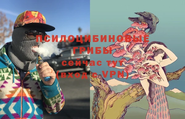 spice Арсеньев