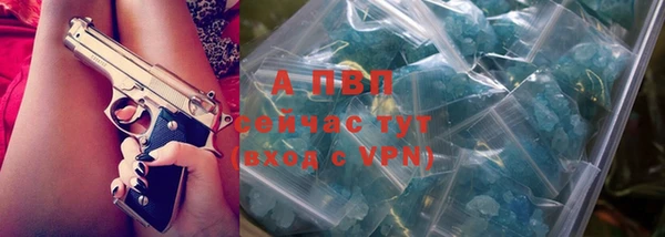 винт Аркадак