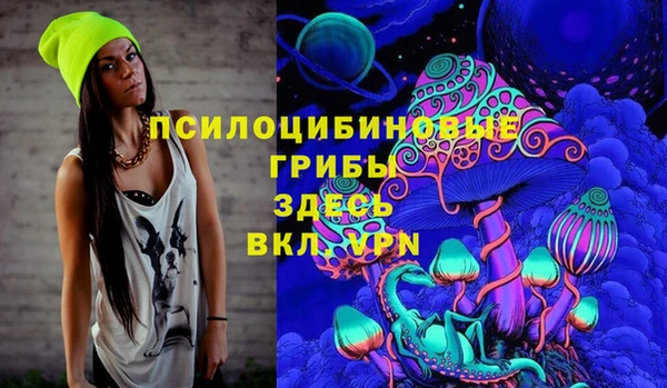 spice Арсеньев