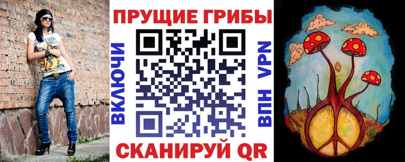 Галлюциногенные грибы Cubensis  Судак 